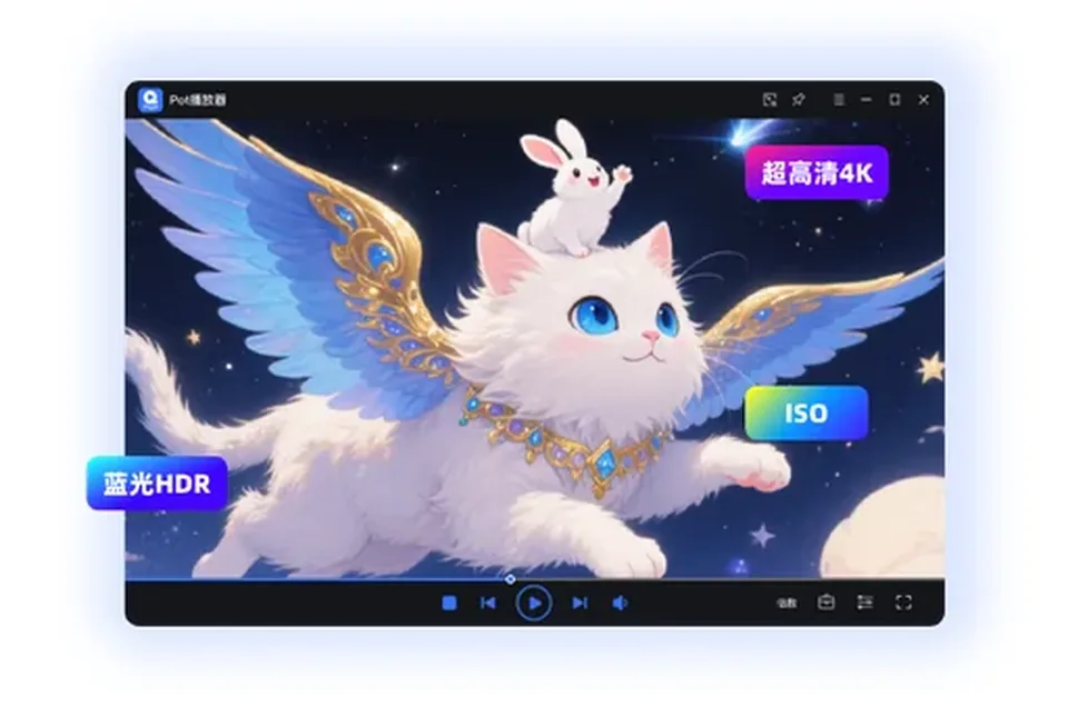 DivX Player 界面预览